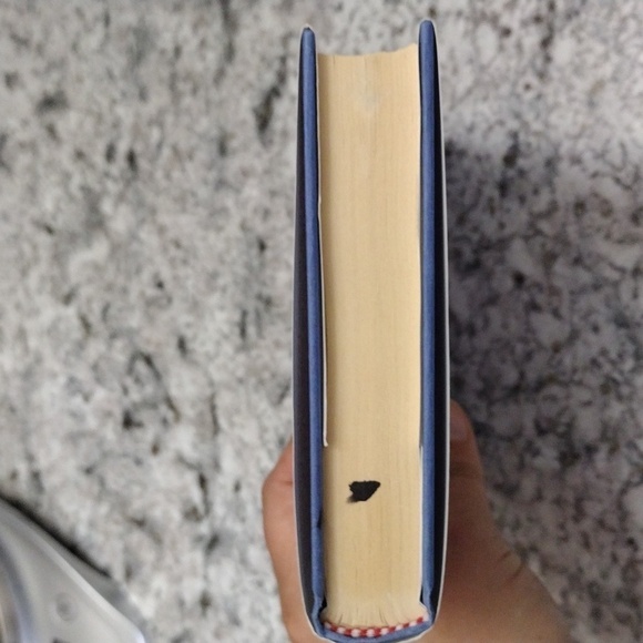 Donna VanLiere Christmas Bundle - Picture 13 of 16